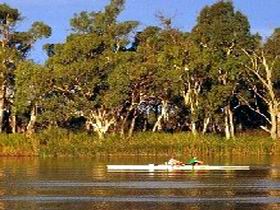 Martin Bend Reserve - Accommodation Main Beach 0