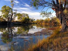 Murray River National Park - Accommodation Main Beach 0