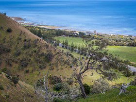 Lady Bay Beach - Accommodation Main Beach 1