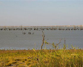 Anabranch North NSW Accommodation Main Beach
