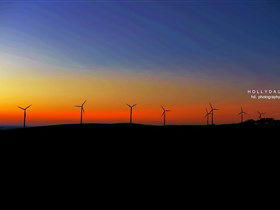 Starfish Hill Windfarm - Accommodation Main Beach 0