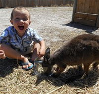 Animal Farm Goolwa - Accommodation Main Beach