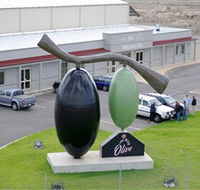 The Big Olive - Accommodation Main Beach