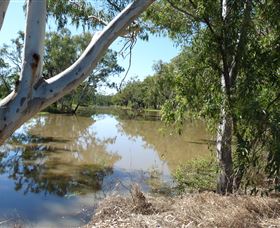 Red Bank Park - Accommodation Main Beach 0