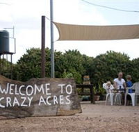 Crazy Acres - Accommodation Main Beach