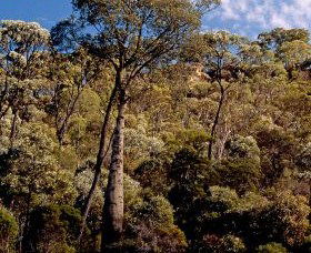 Ka Ka Mundi, Carnarvon National Park - Accommodation Main Beach 0