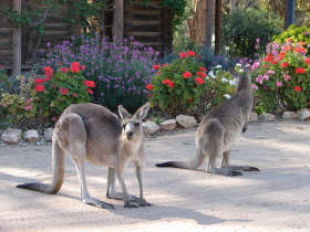 The Pioneer Settlement - Accommodation Main Beach 5