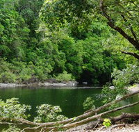 Broadwater Abergowrie State Forest - Accommodation Main Beach