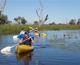 Marsh Meanders - Accommodation Main Beach 0