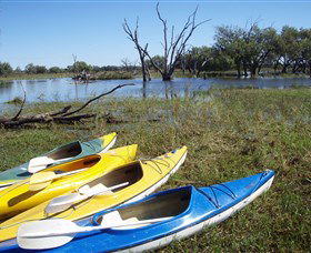 Marsh Meanders - Accommodation Main Beach 1