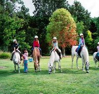 Limestone Coast Horseriding - Accommodation Main Beach