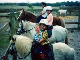 Limestone Coast Horseriding - Accommodation Main Beach 1