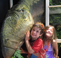 Australian Opal Centre - Accommodation Main Beach