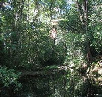 Wabunga Wayemba Charmillan Creek walking track - Accommodation Main Beach