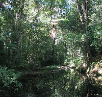 Misty Mountains Wilderness Walking Tracks - Accommodation Main Beach