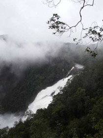 Tully Falls And Tully Gorge - Accommodation Main Beach 0