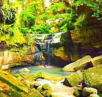 Carnarvon Gorge Carnarvon National Park - Accommodation Main Beach