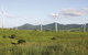 Windy Hill Wind Farm, Ravenshoe - thumb 1