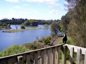 Lake McIntyre - Accommodation Main Beach 0