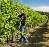 Patrick of Coonawarra - Accommodation Main Beach