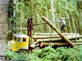 Nangwarry Forestry And Logging Museum - Accommodation Main Beach 3