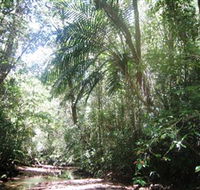 Mount Lewis National Park - Accommodation Main Beach