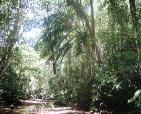 Mount Lewis National Park - Accommodation Main Beach 0