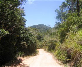 Mount Lewis National Park - Accommodation Main Beach 2