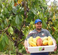 Sweet Farm Tours - Accommodation Main Beach