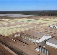 Southern Cotton Gin - Accommodation Main Beach