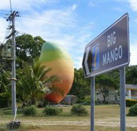 Big Mango - Accommodation Main Beach
