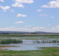 Fivebough Wetlands - Accommodation Main Beach