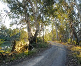 Alton Gallery - Echuca Moama Artists - Accommodation Main Beach 0