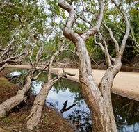 Oyala Thumotang National Park CYPAL - Accommodation Main Beach