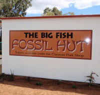 Big Fish Fossil Hut at Peak Hill - Accommodation Main Beach