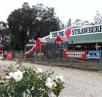 The Big Strawberry - Accommodation Main Beach