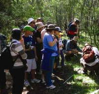 Warrumbungle National Park Discovery Program - Accommodation Main Beach