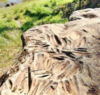 Terramungamine Rock Grooves - Accommodation Main Beach