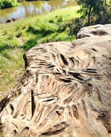 Terramungamine Rock Grooves - Accommodation Main Beach 0