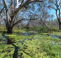 Macquarie Valley Trails - Accommodation Main Beach