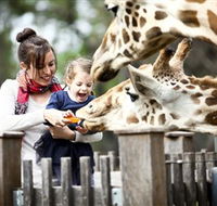 Taronga Western Plains Zoo Dubbo - Accommodation Main Beach
