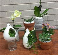 Cobram Florist - Accommodation Main Beach