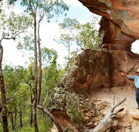 Pilliga National Park - Accommodation Main Beach