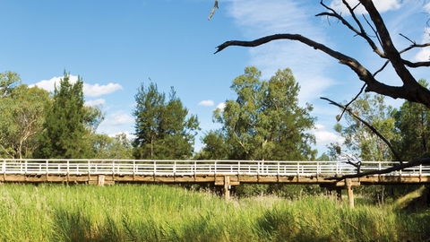 Pilliga National Park - Accommodation Main Beach 3