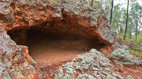 Pilliga National Park - Accommodation Main Beach 1