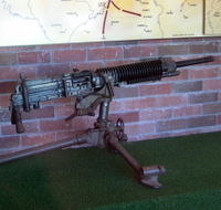 Woodpecker Gun - Accommodation Main Beach