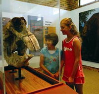 Australian Museum Diprotodon Exhibition - Accommodation Main Beach