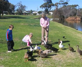 Roy Little Park Merredin - Accommodation Main Beach 0