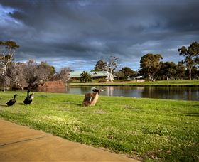 Roy Little Park Merredin - Accommodation Main Beach 2