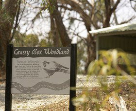 Rannock NSW Accommodation Main Beach